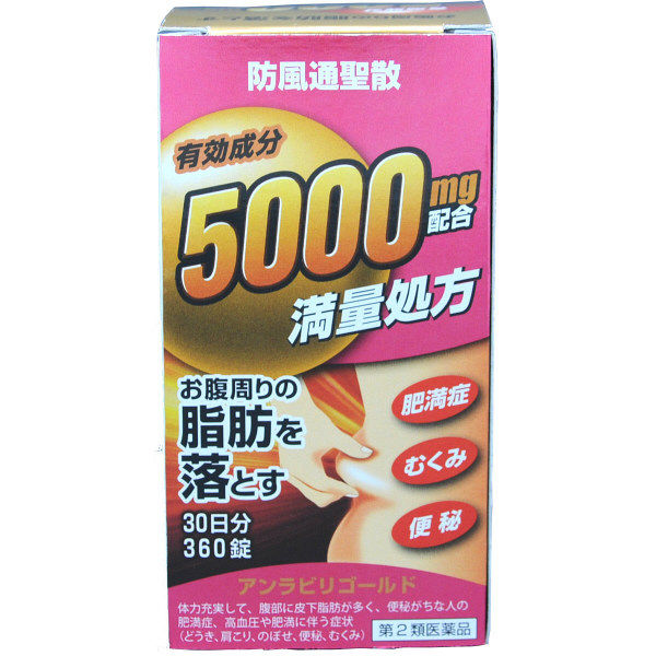 アンラビリゴールド 360錠 阪本漢法製薬 漢方薬 防風通聖散 皮下