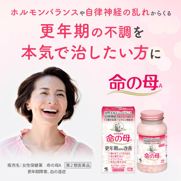 命の母A 252錠 小林製薬【第2類医薬品】 - アスクル