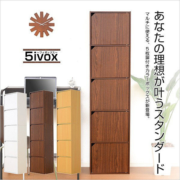 ホームテイスト A4サイズ収納OK！扉付きカラーボックス【-5ivox