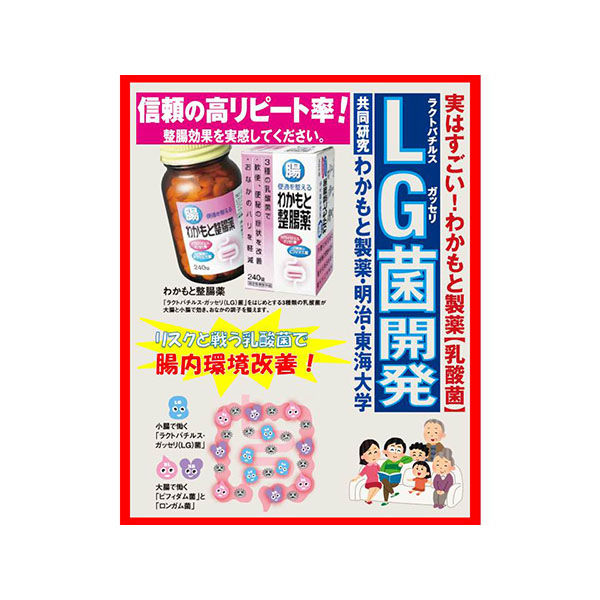 わかもと整腸薬 240錠 わかもと製薬 【指定医薬部外品】 - アスクル