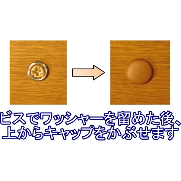 ダンドリビス Zキャップ&ワッシャーセットZ818モカ ブリスター