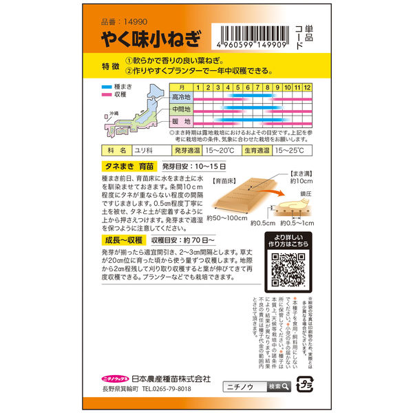 ニチノウのタネ やく味小ねぎ 日本農産種苗 4960599149909 1セット（5