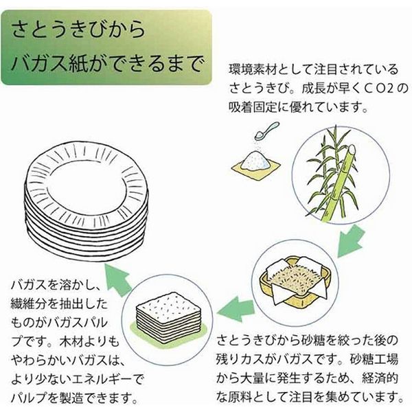 ケース販売】HEIKO 紙皿 徳用バガスプレート GP-21 004466082 1セット