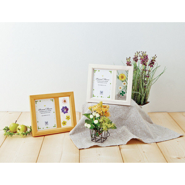 押し花フレームアレンジ 🌼押し花で作る簡単フレームの作り方/Handmade/DIY/flower/DAISO