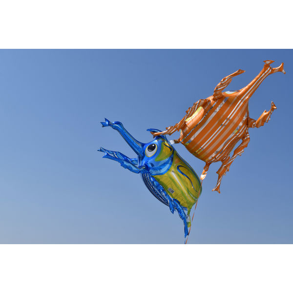 カブトムシバルーン（3D）ブルー 0201700001 1セット（10枚入