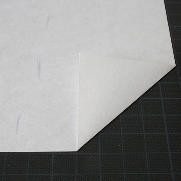 大直 大礼紙 白 A4 50枚入 206040401 10セット（500枚：50枚×10）
