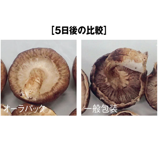 ベルグリーンワイズ オーラパック 鮮度保持袋 12号 ポリ袋(規格