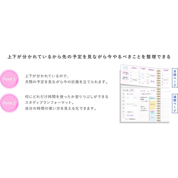 学研ステイフル ツインスタディ6ヶ月（ピンク） D16010（直送品