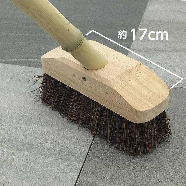 タカショー シダデッキブラシ 角なし S-813/10S 1セット（10本