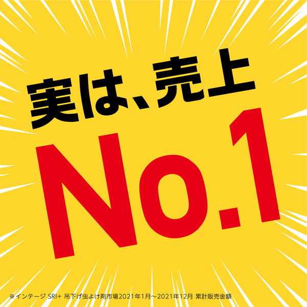 虫よけネットEX ベランダ用 + 玄関用 160日用 吊り下げタイプ 1 虫よけネットEX ベランダ用 + 玄関用 160日用 吊り下げタイプ 1