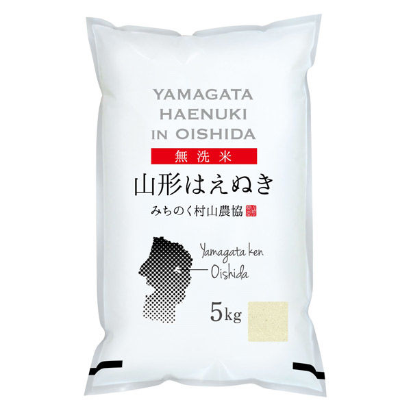 山形県産はえぬき 10kg（5kg×2） 【無洗米】 令和4年産 米 お米