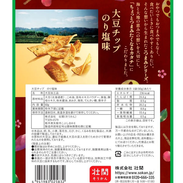 大地のこつまみ 大豆チップ のり塩味 60g 1袋 壮関 おつまみ アスクル