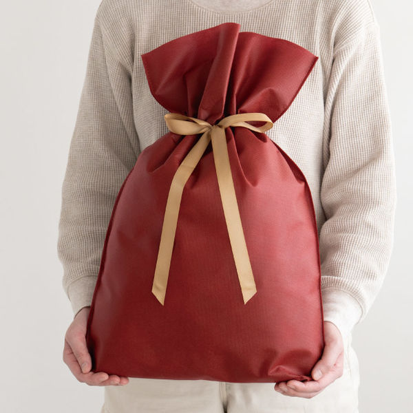 ヘッズ 不織布リボン付ギフトバッグーM/エンジ（10枚） - アスクル