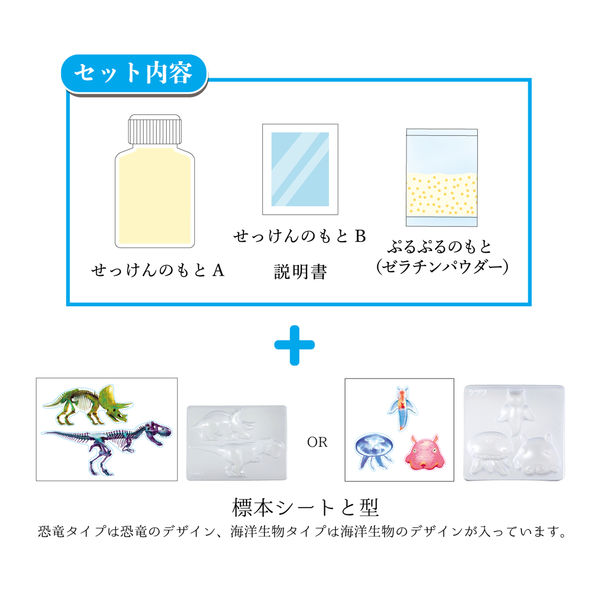 クツワ 透明標本せっけんをつくろう・生物 PT211B 1個 - アスクル
