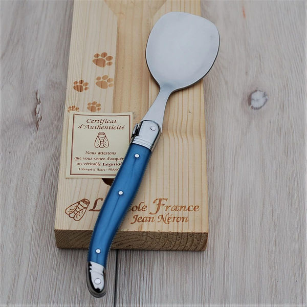 ライヨール ABS ペットスプーン ブルー DOG 木箱 4310056 1本