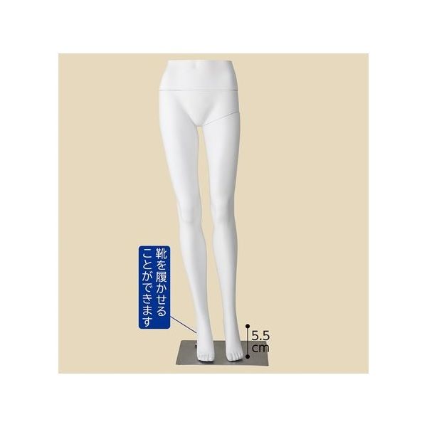 アズワン PP製 婦人パンツトルソー 白 67-6609-38 1個（直送品