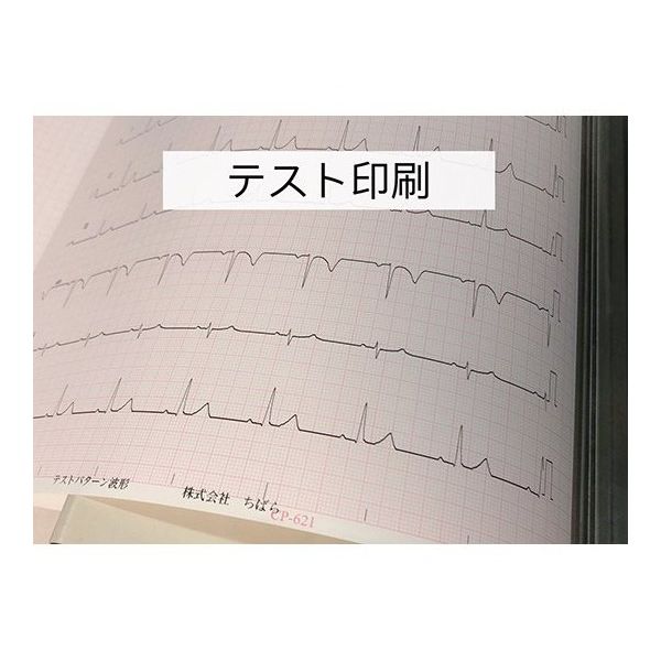 折帖 本画仙 | 書道用品 慶花堂