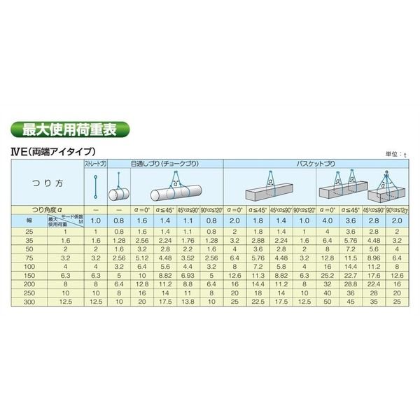 テザック ブルースリング IVE(両端アイタイプ) 4E150X8 1本（直送品） - アスクル