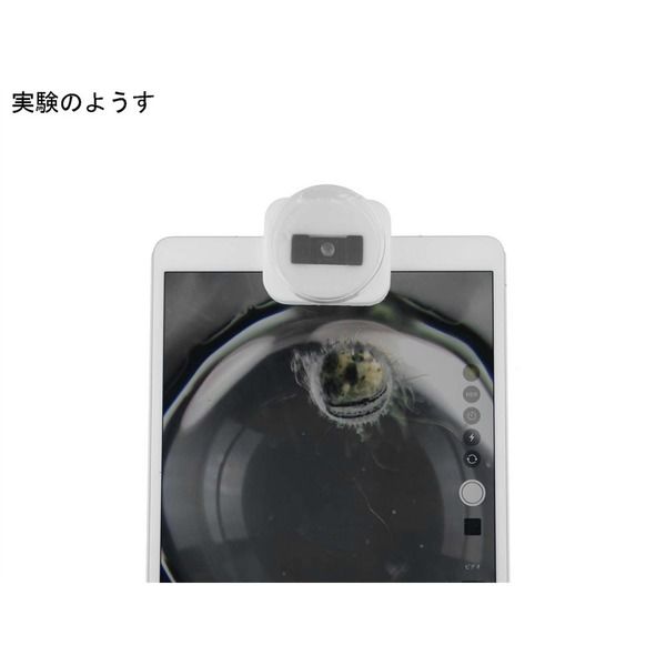 ナリカ タブレット顕微鏡 ミエル1ミリ Eー10 S77-2545 1個（直送品