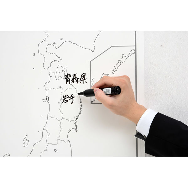 全教図 地理学習シート 世界全図白地図シート3枚組 1933021 1組（直送