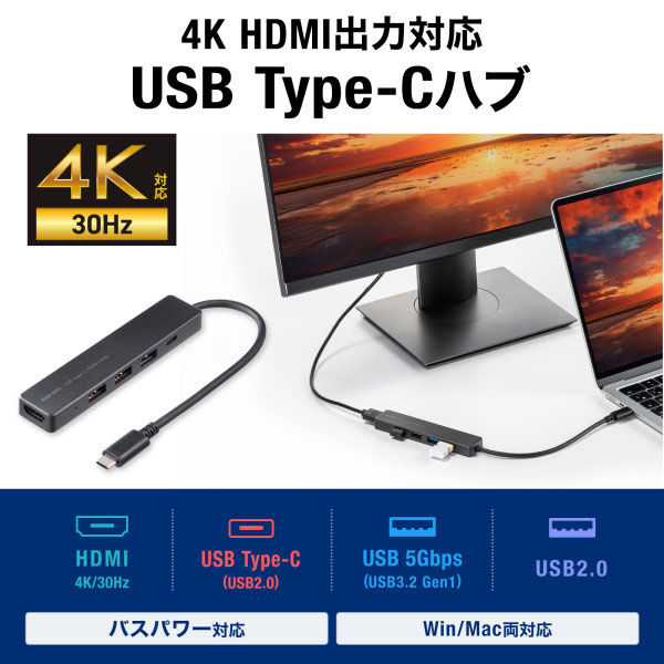 【スタイル:USB対応・ノートパソコン対応_バリエーション:単品】サンワサプライ USB Type-C ドッキングステーション｜サンプル無料貸出対応 USB