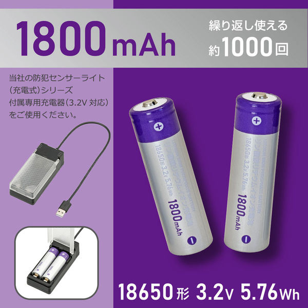 オーム電機 リン酸鉄リチウム電池LFP18A 05-1212 1個（直送品） - アスクル