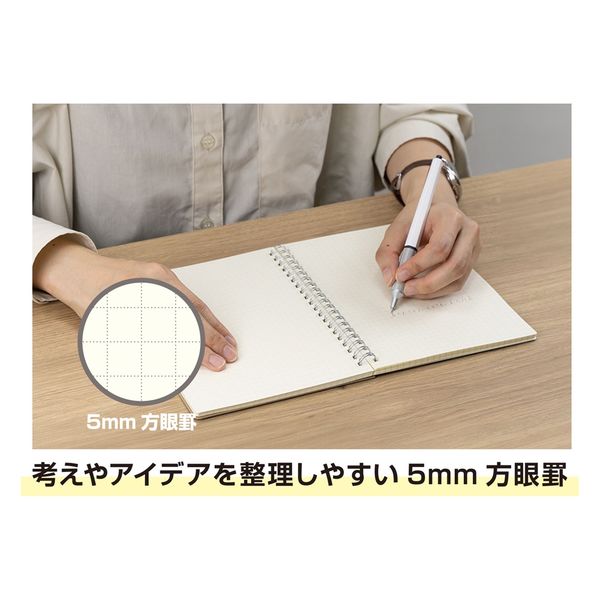 フェルメールの眼 Amazon.co.jp: [新装版] 赤瀬川原平が読み解く全作品 フェル