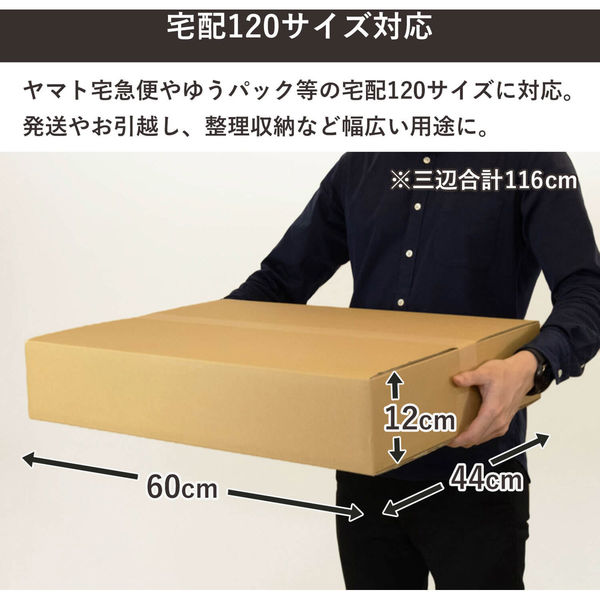 トッパン・コスモ 120サイズダンボール 10枚セット 60×44×12cm