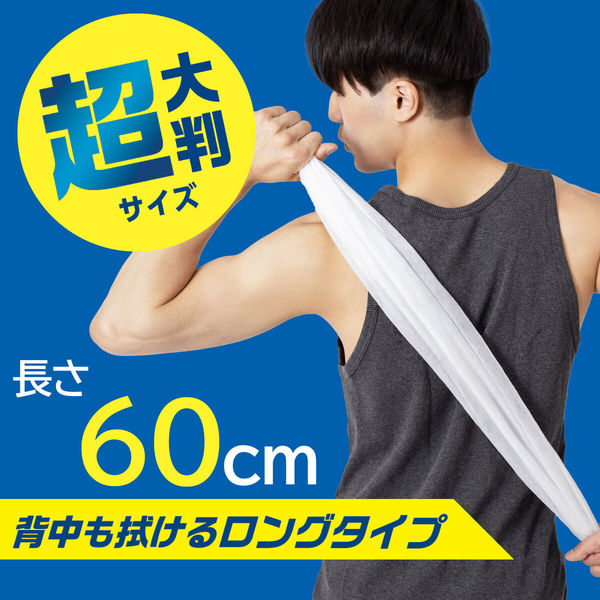 アイリスオーヤマ 凄デカクールタオル SCLT-20 1パック(20枚入) - アスクル