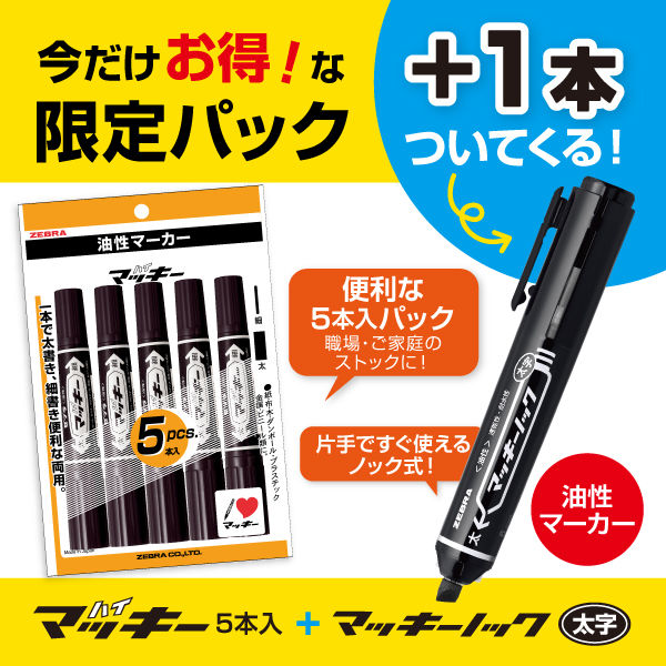 ジュエルLEDヘッド＆フォグバルブ ZXシリーズ (LZX4#/LZX3#)【H4