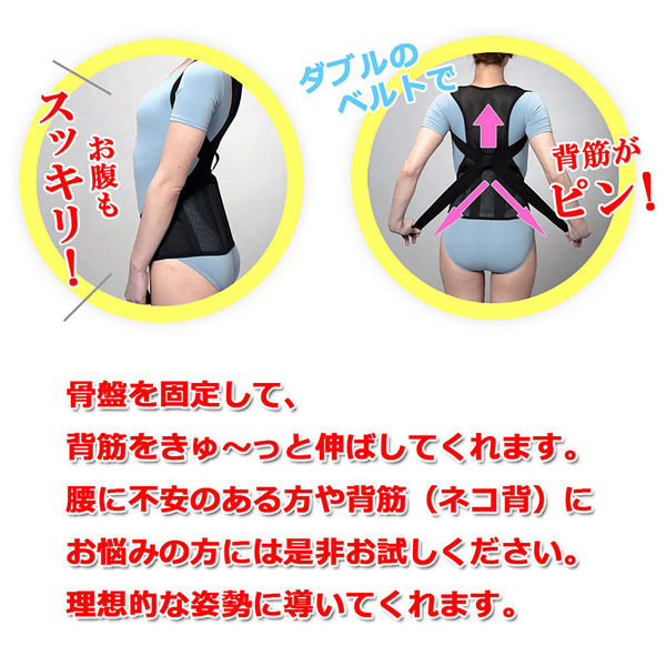 アクセス 骨盤グイッと背筋Sラインベルト 猫背 腰痛対策 背筋
