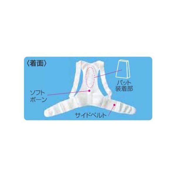 メーカー直売 - 人気ランキング アシスト 00392 L 背筋すっきりベルトワイドメッシュ(パッド付) サポーター
