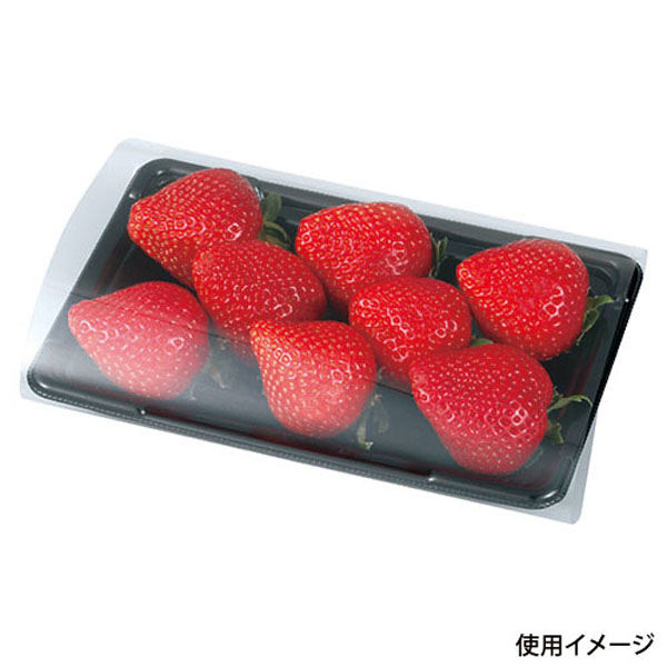 フルーツ容器 PSTR250平 黒 エフピコチューパ エフピコチューパ フルーツ容器 PSTR250平 黒 CP003803 1ケース