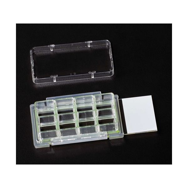 mahina.様 8 Chamber Cell Culture Slide， Glass， Sterile 12個入 229168