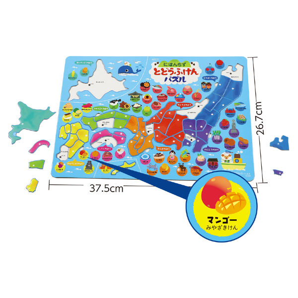 値下　1000パズル　水の調べ Amazon | eeBoo: Piece and Love マイアミ 1000ピース 大人用