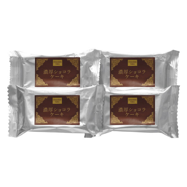 サニーフーズ 濃厚ショコラケーキ ARB-148 1セット（直送品