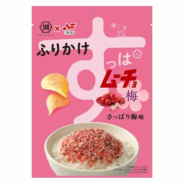 ニチフリ食品 すっぱムーチョふりかけ さっぱり梅味 20g 1セット（1個
