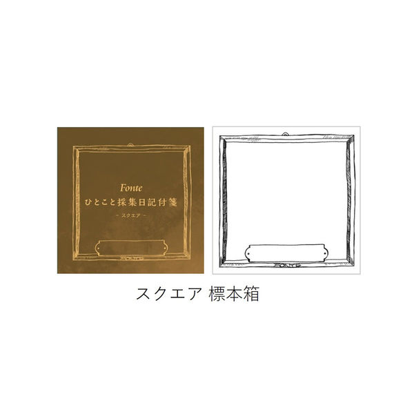 日本出版販売 FO 日記付箋 スクエア 標本箱 FO468354 1セット(12
