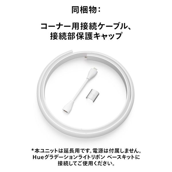 Signify グラデーションライトリボン エクステンション(1m) PHGLS1 1個