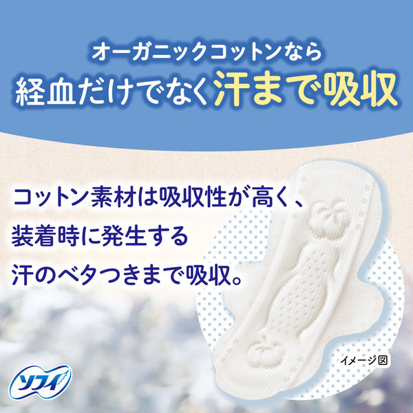 ナプキン ソフィ 多い昼～ふつうの日用 羽つき 21cm はだおもい