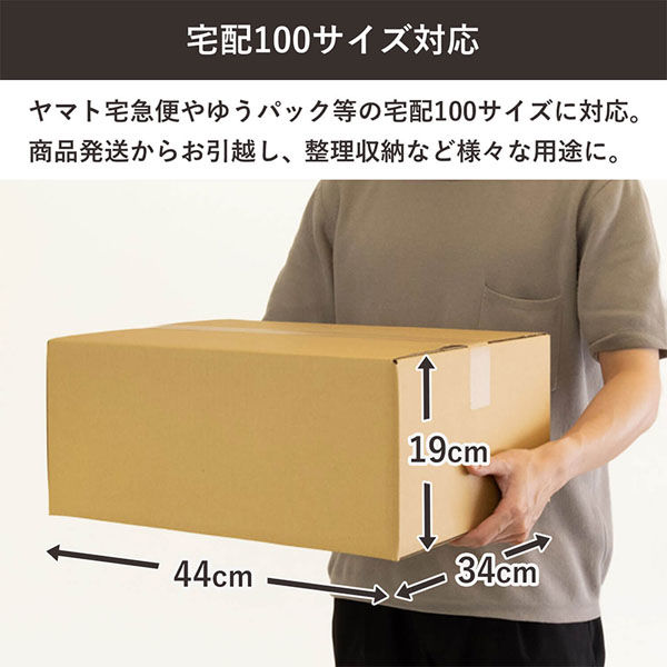 ダンボールページ シモジマ 100サイズダンボール 記入欄手穴 38×27×29cm