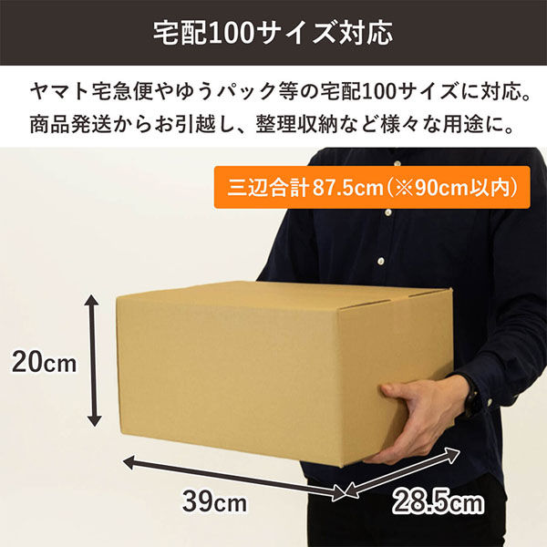 シモジマ 100サイズダンボール 39×28.5×20cm 4571689032126 1セット