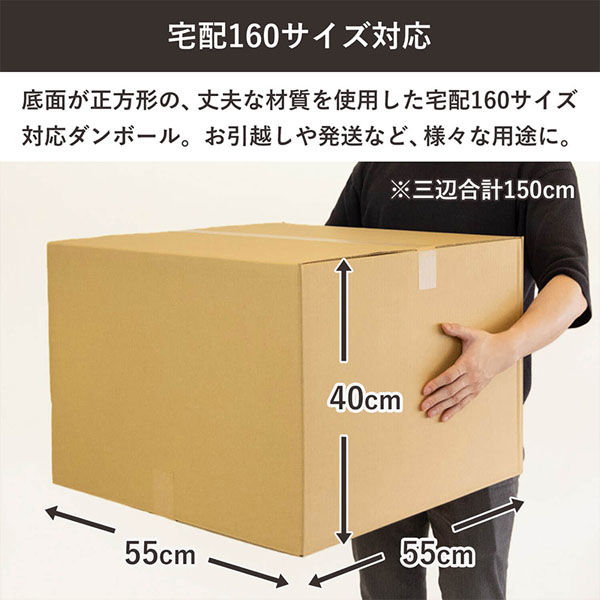 シモジマ 160サイズダンボール 55×55×40cm 4571689032287 1セット（2枚