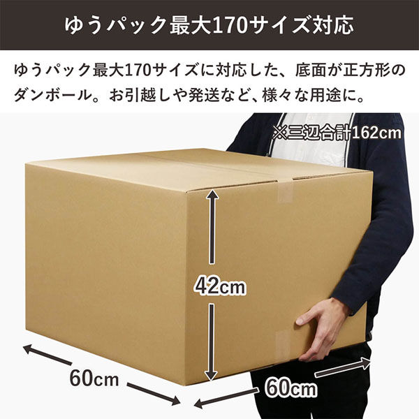 シモジマ 170サイズダンボール 60×60×42cm 4571689032348 1セット（5枚