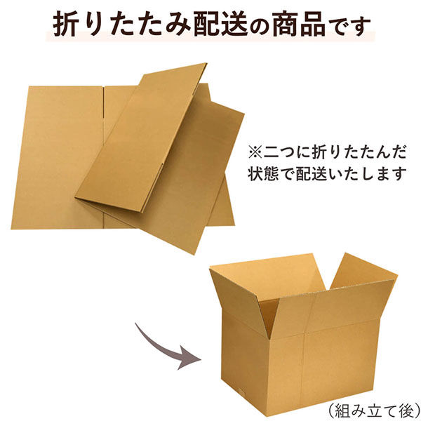シモジマ 160サイズダンボール 58×48×46cm 4571689032447 1セット（2枚