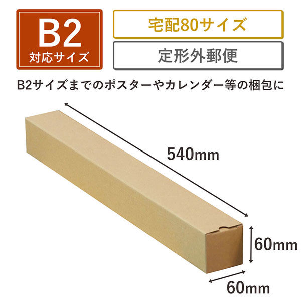 シモジマ ポスターカレンダーダンボール B2 MA02-0050-AS 1