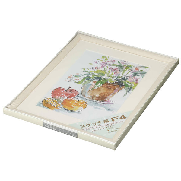 大仙 スケッチ額 パルク F4 ホワイト 33H00300406 1個（直送品