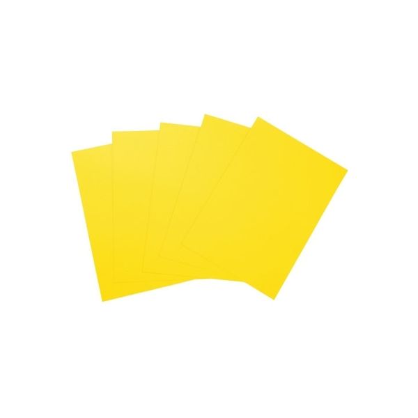 大王製紙 マルチカラー紙 CW-630C B4黄色500枚 1冊（直送品） - アスクル