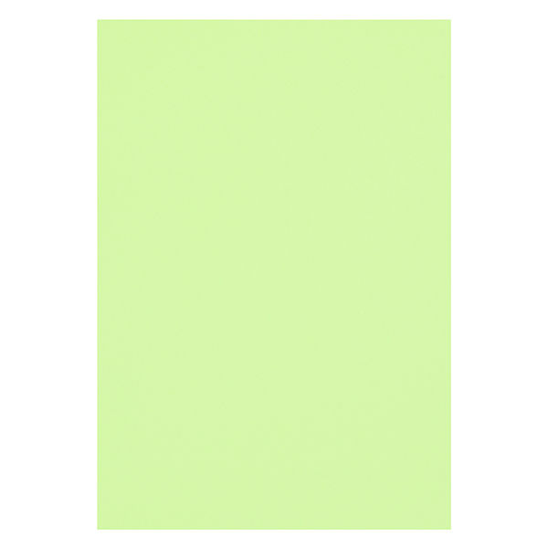リンテック 色画用紙 ニューカラーR 八切 わかくさ NCR2438 1包