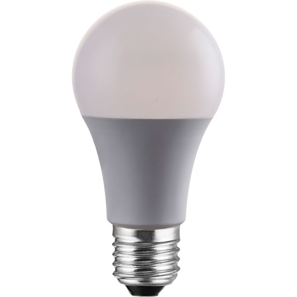 磁気研究所 LED電球 100W相当 全方向 4万時間タイプ 電球色 E26口金